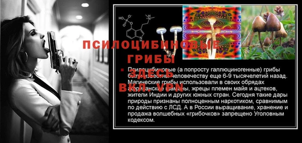 трава Заволжск